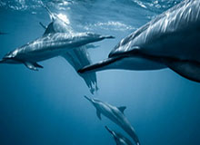 开云体育——点燃你的运动激情，畅享极致体验